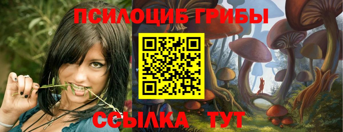 Элиста  дарнет шоп  Вход с VPN  Псилоцибиновые грибы мицелий 
