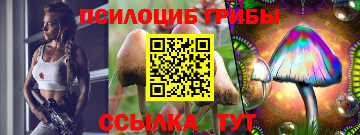 Псилоцибиновые грибы GOLDEN TEACHER Элиста
